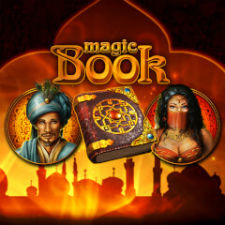 Bally Wulff Magic Book Slot