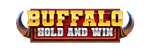 Buffalo Hold and Win Slot