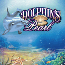 Dolphins Pearl