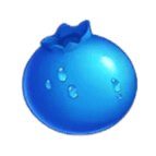 Jammin Jars Symbole Blaubeere