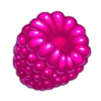 Jammin Jars Symbole Himbeere