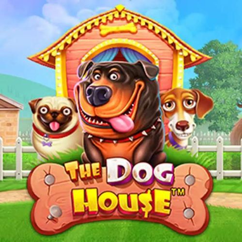 Der Slot  <strong>The Dog House Megaways</strong>  von Pragmatic Play verfügt über 6 Walzen und bis zu 7 Reihen, in denen eine Bande von Hunden in der Nachbarschaft agiert. Er kann sowohl als Desktop-Version als auch auf mobilen Geräten gespielt werden. Bei diesem Slot gibt es keine herabfallenden Symbole und die typischen horizontalen Walzen sind ausgeschlossen. Außerhalb der herkömmlichen Sichtweise drehen sich die Walzen wie gewohnt. Der Einsatz pro Runde kann zwischen 0,20€ und 100€ liegen. Es gibt unzählige Gewinnmöglichkeiten durch das Megaways-System, da die Reihen unbegrenzte Kombinationsmöglichkeiten bieten. Der maximale Gewinn kann bis zu  <strong>das 70.000-fache Ihres Einsatzes</strong>  betragen, wobei die vorhandenen Multiplikatoren entscheidend für große Gewinne sind. Der Dog House Megaways Slot weist eine hohe Volatilität auf.
